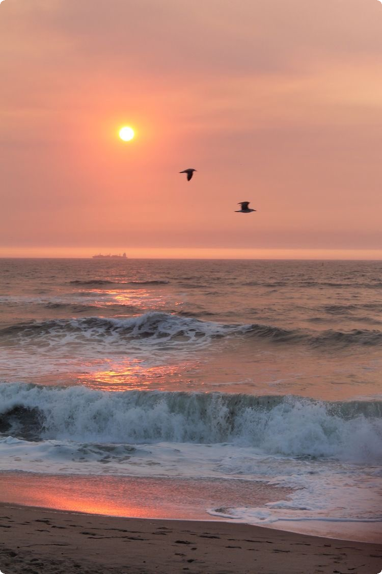 اجمل 100+ صور بحر وشواطئ 2025 HD اجمل خلفيات للبحر خلابة - موقع شملول