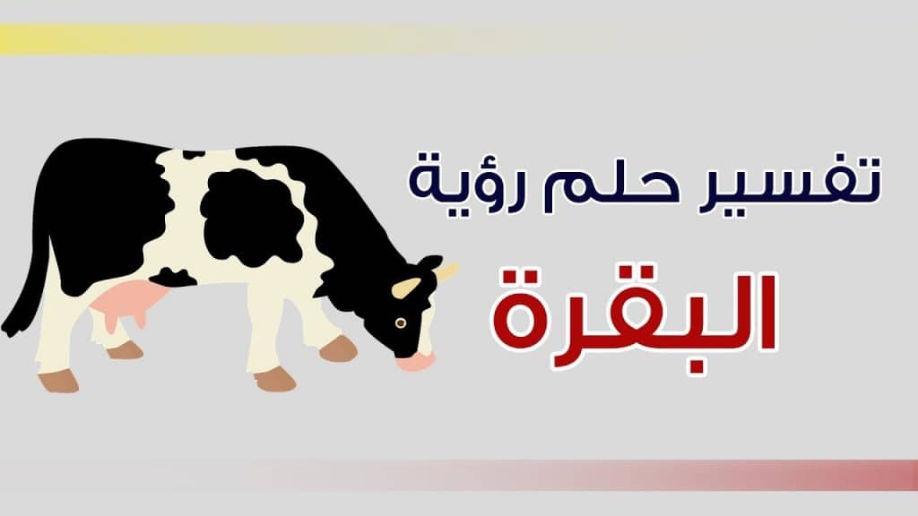 تفسير رؤية البقرة في الحلم لابن سيرين والنابلسي