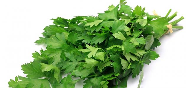 تفسير رؤية البقدونس في المنام