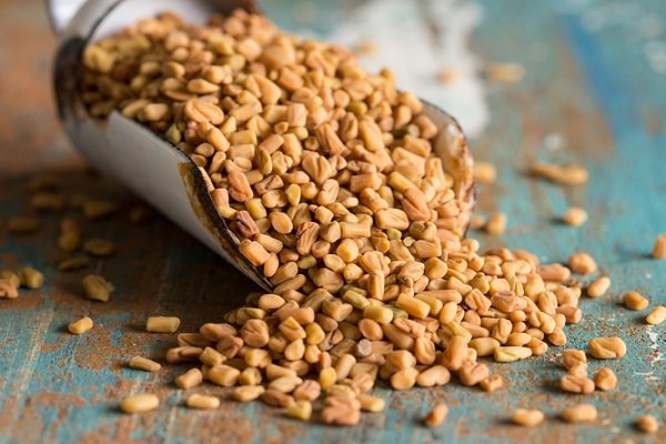 الحلبة في المنام للعزباء