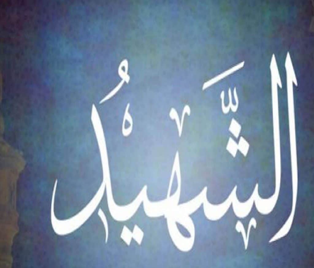 تفسير رؤية الشهيد