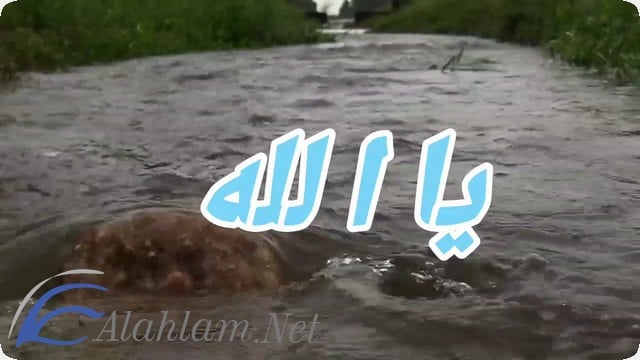 دعاء عن حب الوطن