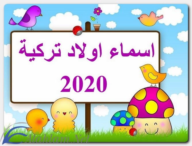 اسماء اولاد تركية