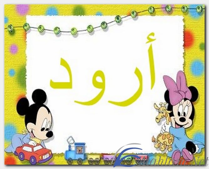 معنى اسم أرود وصفات حامل الاسم