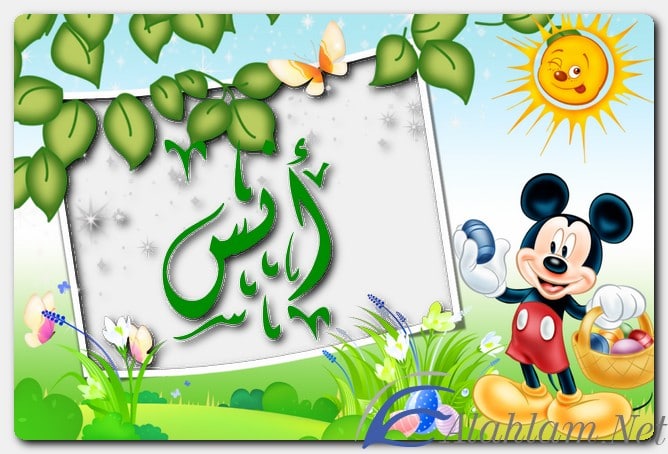 معنى اسم أنس وصفات حامل الاسم