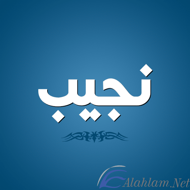 معنى اسم نجيب وصفات من يحمله