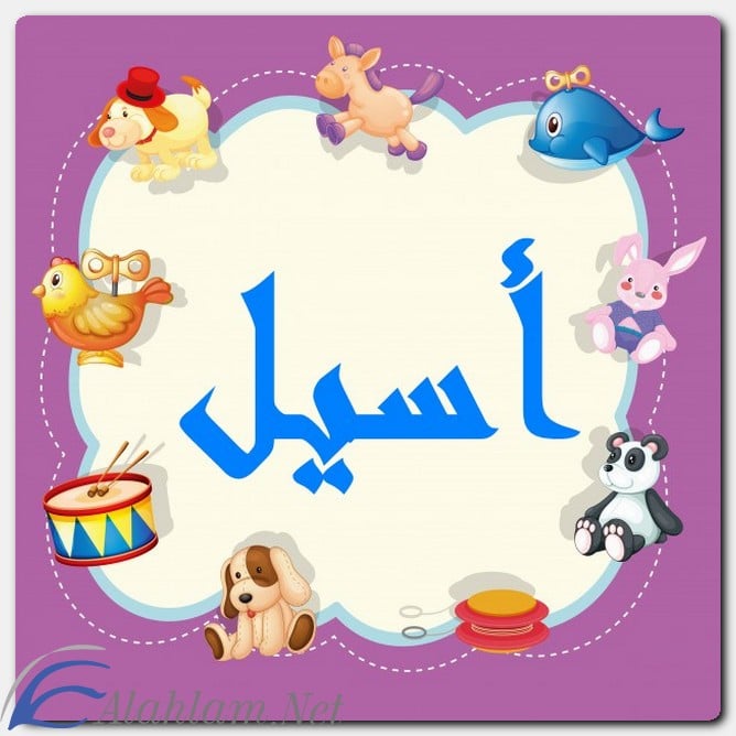 معنى اسم أسيل حسب علم النفس