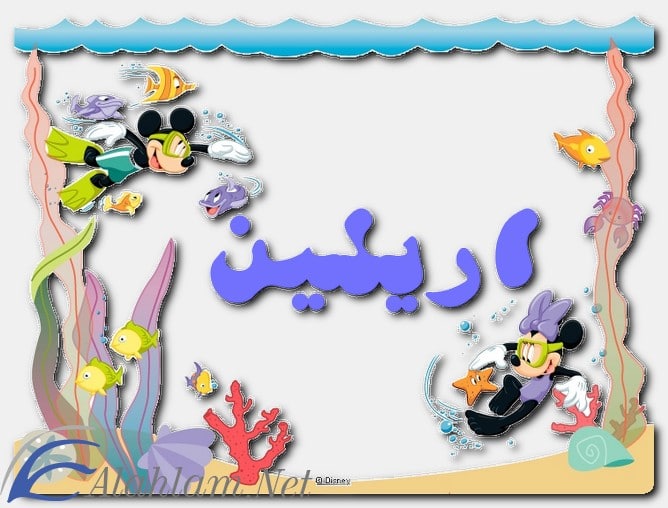 معنى اسم اريلين وصفاته