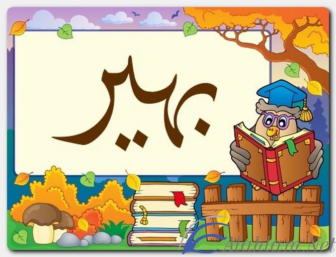 معنى اسم بهير وصفات حامل الاسم