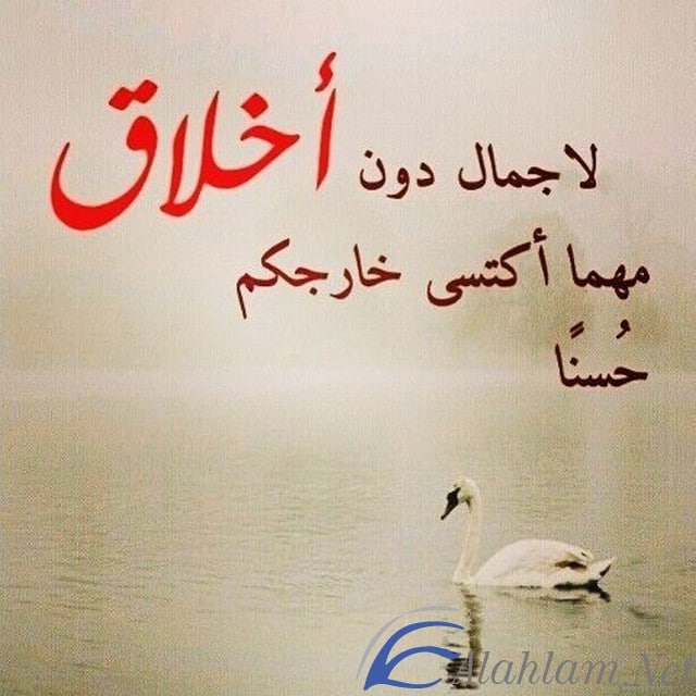 اقوال وكلمات عن الاخلاق