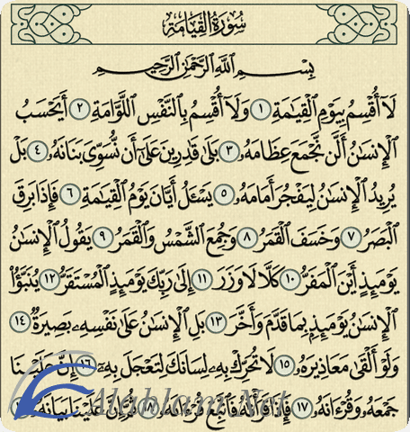 فضل قراءة سورة القيامة