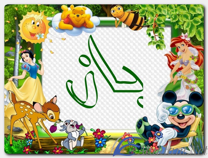 معنى اسم باز وصفات حامل الاسم