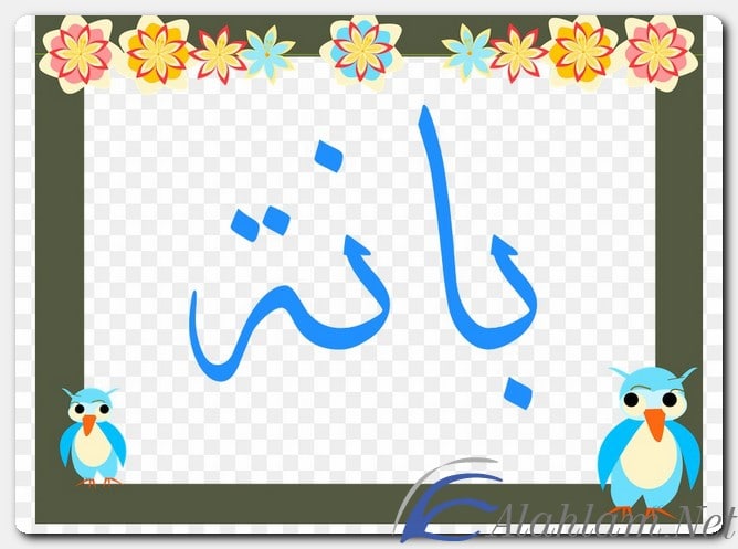 معنى اسم بانة وصفات حامل الاسم