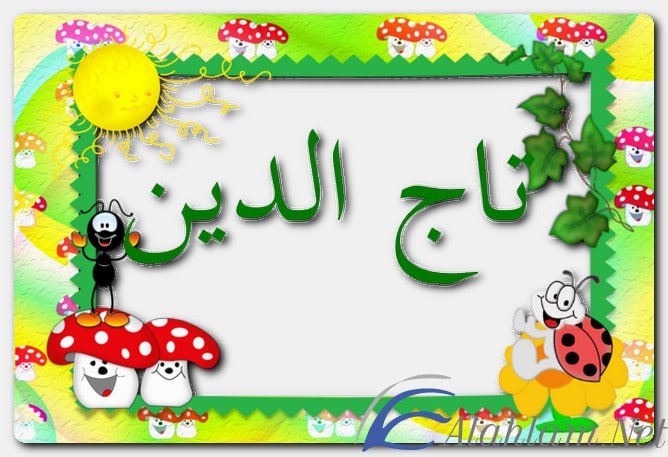 معنى اسم تاج الدين وصفات حامل الاسم
