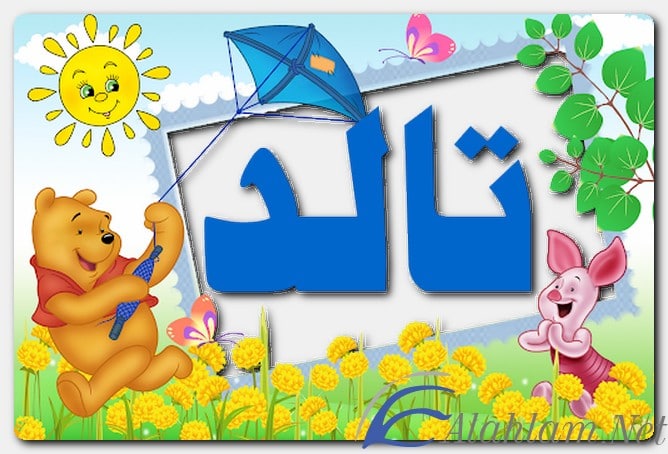 معنى اسم تالد وصفات حامل الاسم
