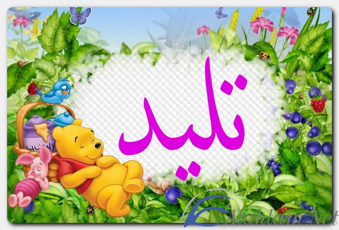 معنى اسم تليد وصفات حامل الاسم