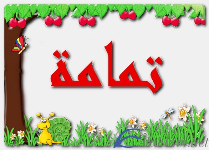 معنى اسم تمامة وصفات حامل الاسم