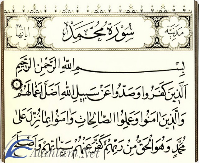 فضل قراءة سورة محمد