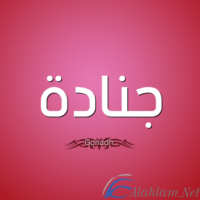 معنى اسم جنادة Janadah بالتفصيل