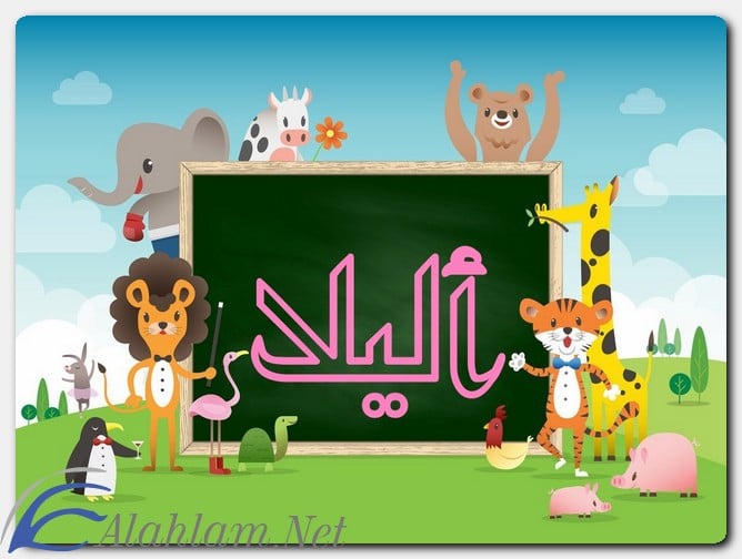 معنى اسم أليلا وصفات حاملة الاسم
