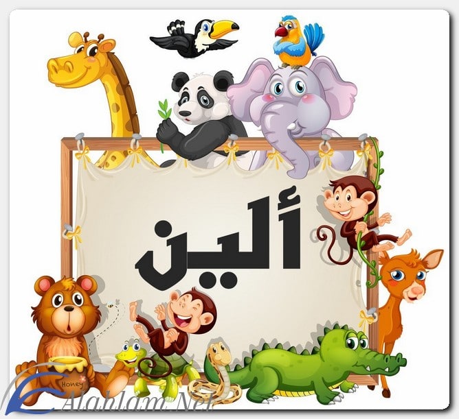 ما معنى اسم ألين وصفاته