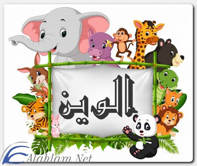 معنى اسم الوين وصفات حاملِه