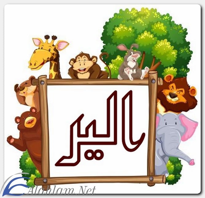 معنى اسم الير وصفات حاملِه