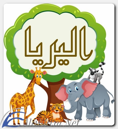 معنى اسم اليريا وصفات حاملة الاسم