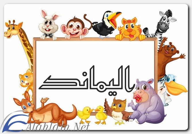 معنى اسم اليماند وصفات حاملِه