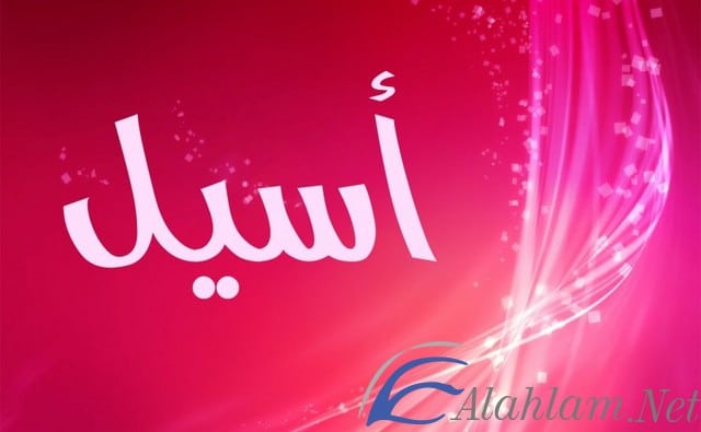 معنى اسم اسيل وشخصيتها بالتفصيل Aseel