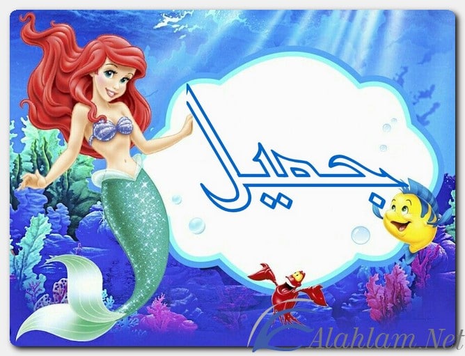 معنى اسم جميل وصفات حامل الاسم