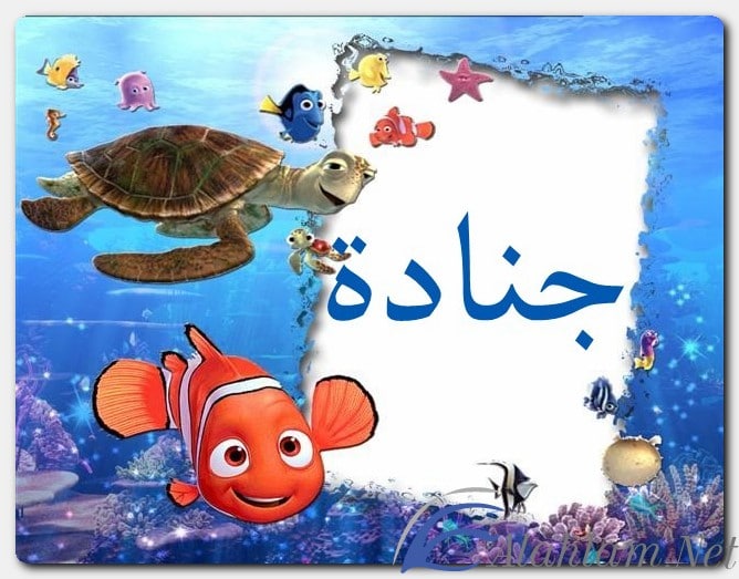 معنى اسم جنادة وصفات حامل الاسم