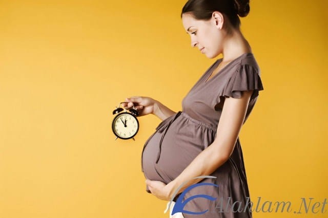 حاسبة الحمل بالأسبوع والشهور