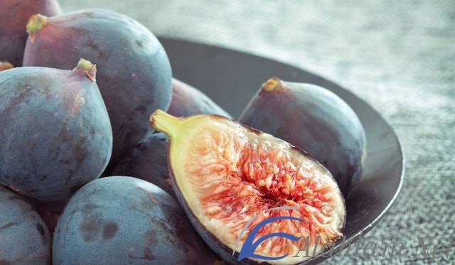 فوائد التين البرشومي للجسم والحامل والتخسيس
