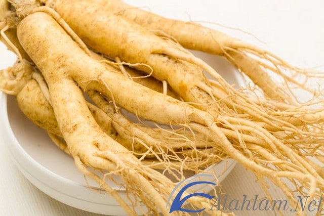 فوائد الجنسنج مع العسل للرجال والأطفال