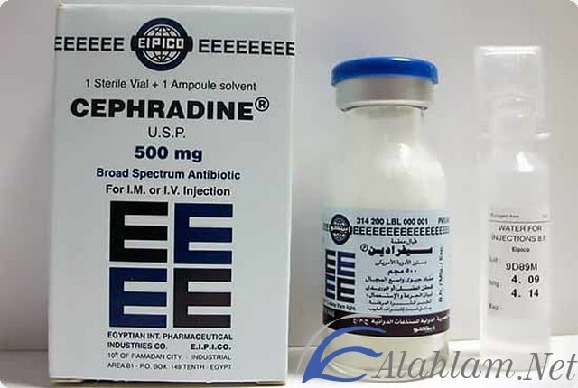 نشرة امبولات سيفرادين مضاد حيوي Cephradine