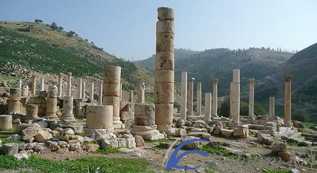 السياحة في اربد