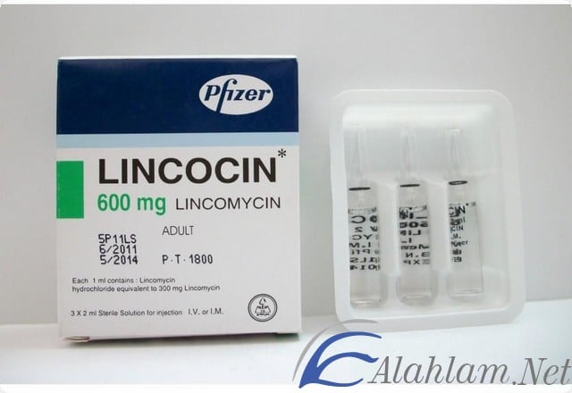 أمبولات لينكوسين مضاد حيوى Lincocin