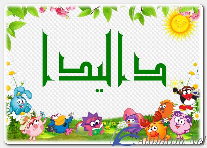 معنى اسم داليدا وصفات حاملة الاسم Dalida