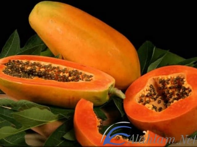 فوائد الباباط وطرق استخدامه