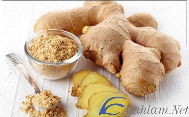 فوائد الزنجبيل للشعر المتساقط والخفيف والجاف