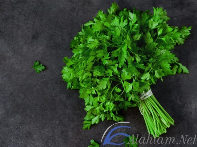 فوائد عصير البقدونس المغلي للتخسيس