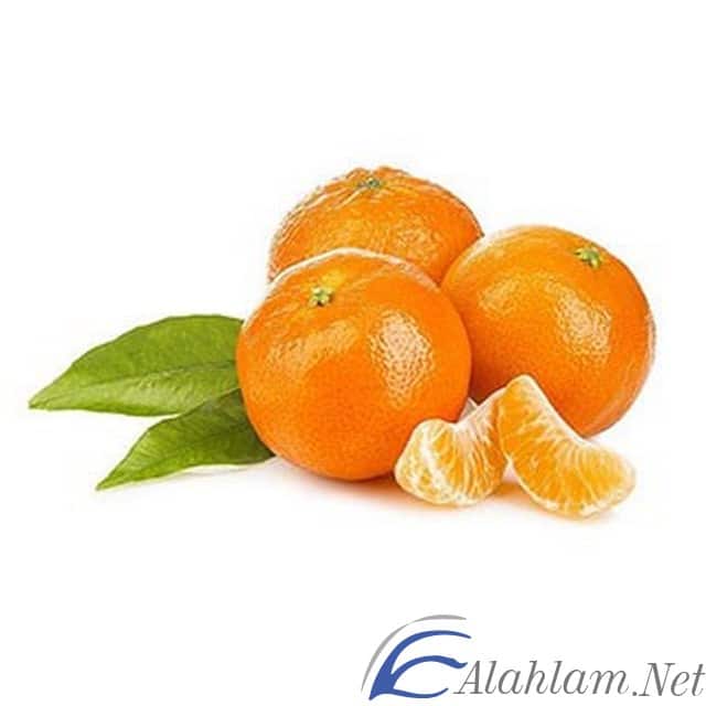 نبات بحرف الياء