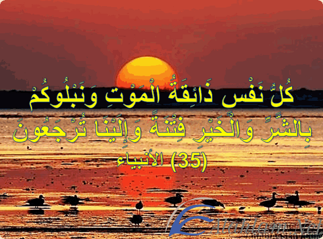 ماهي السور القرآنية التي تقرأ عند الموت ؟ آيات قرآنية عن الموت