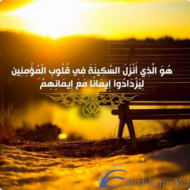 ايات قرانية تقوى القلب والنفس