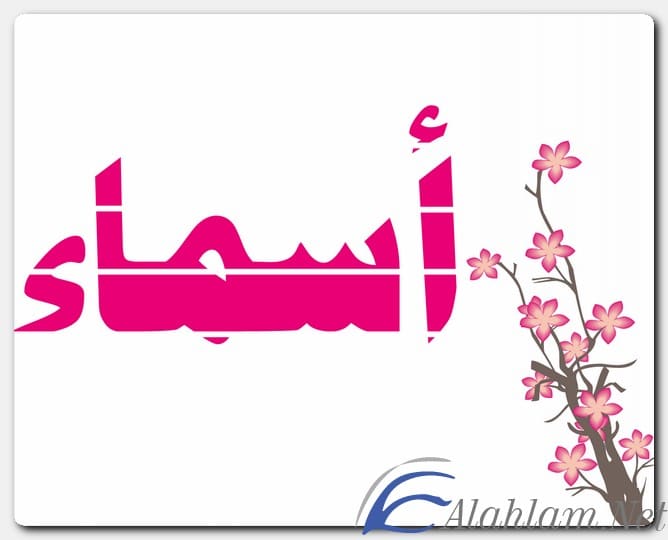 معنى اسم أسماء وصفات حاملة الاسم Asmaa