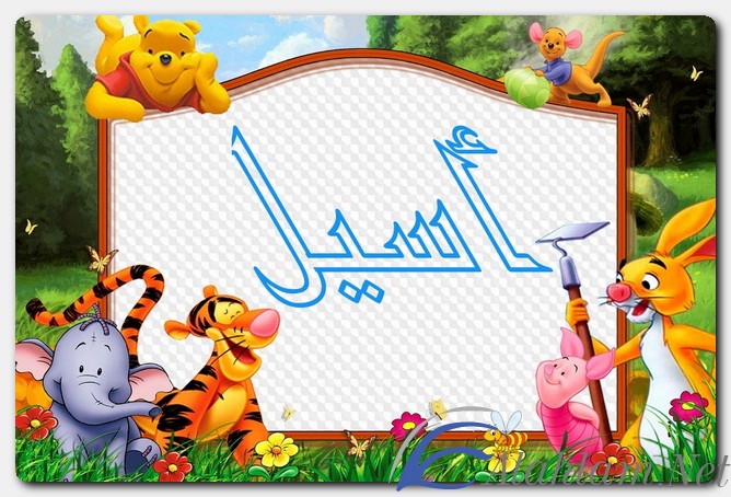 معنى اسم أسيل وصفات حاملة الاسم Asil