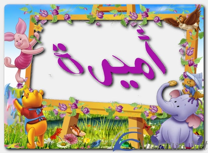 معنى اسم أميرة وصفات حاملة الاسم Ameera