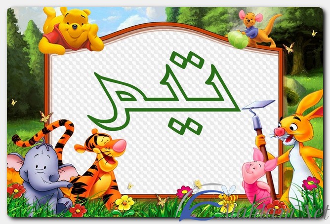 اسم تيم