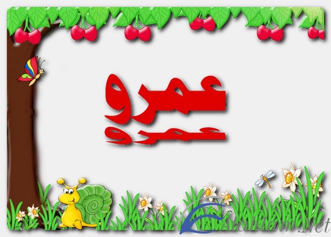 معنى اسم عمرو وصفات حامل الاسم Amr